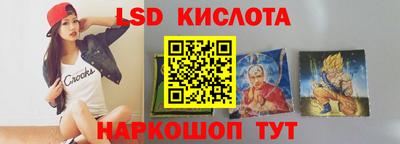 гидропоника Сланцы