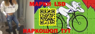 гидропоника Сланцы