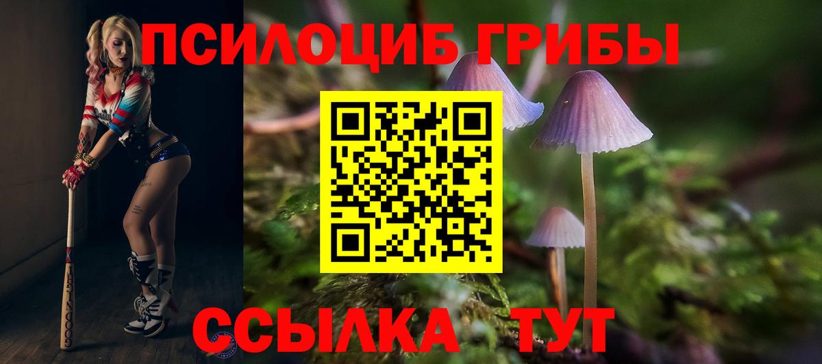 Псилоцибиновые грибы Cubensis  Вход с VPN  Мурманск 